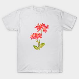 epidendrum radicans orange groud orchid T-Shirt